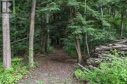 57 PINE PARK BOULEVARD | Adjala-Tosorontio Ontario | Slide Image Forty-three