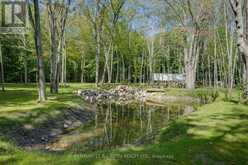 1250 COUNTY ROAD 6 S | Tiny Ontario | Slide Image Forty-six