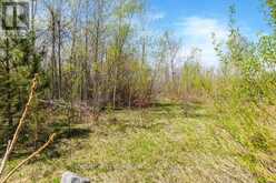 15 QUARRY ROAD | Waubaushene Ontario | Slide Image Twenty-seven