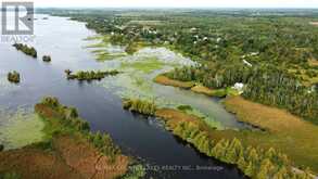 129 MCGUIRE BEACH ROAD | Kawartha Lakes Ontario | Slide Image Thirty-six