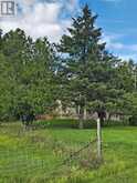 534 CEDAR GLEN ROAD | Kawartha Lakes Ontario | Slide Image Seven