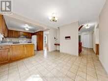 3 LOVEKIN GROVE | Toronto Ontario | Slide Image Sixteen