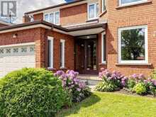 3 LOVEKIN GROVE | Toronto Ontario | Slide Image Three