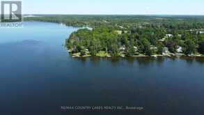 31 HILLCREST AVENUE | Kawartha Lakes Ontario | Slide Image Twenty-five