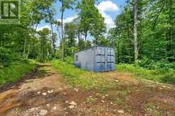 LOT 29 CONCESSION 11 FRANKLIN | Baysville Ontario | Slide Image Fifteen