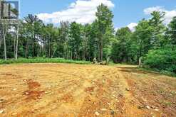 LOT 29 CONCESSION 11 FRANKLIN | Baysville Ontario | Slide Image Twenty-two