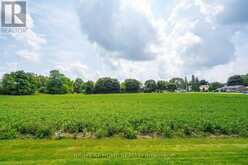 20 PART LOT CON 1 | Minto Ontario | Slide Image Five