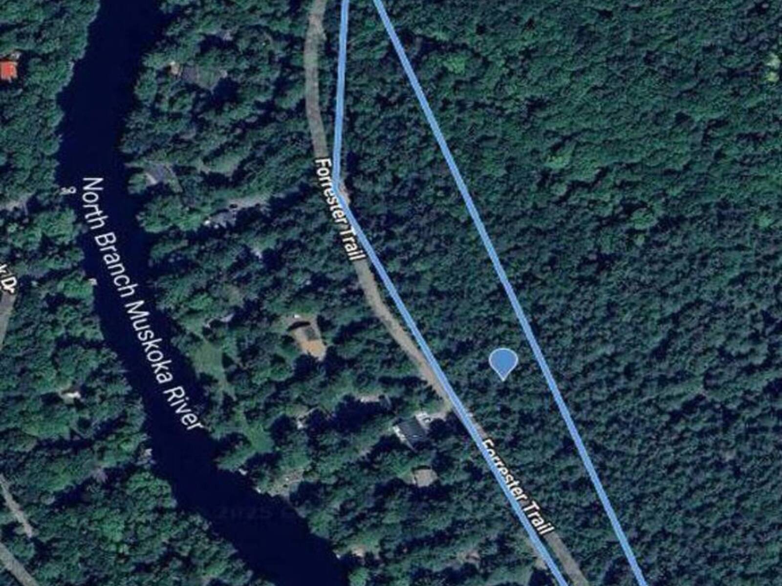 1019 FORRESTER TRAIL, Bracebridge, Ontario P1L 1W9