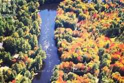 1019 FORRESTER TRAIL | Bracebridge Ontario | Slide Image Thirteen