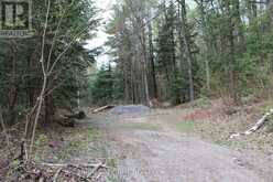 1019 FORRESTER TRAIL | Bracebridge Ontario | Slide Image Four