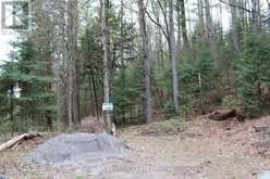 1019 FORRESTER TRAIL | Bracebridge Ontario | Slide Image Five