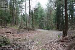 1019 FORRESTER TRAIL | Bracebridge Ontario | Slide Image Six