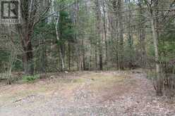 1019 FORRESTER TRAIL | Bracebridge Ontario | Slide Image Eight