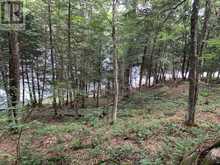 PT 3 SHADOWS END LANE | Magnetawan Ontario | Slide Image Five