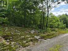 PT 3 SHADOWS END LANE | Magnetawan Ontario | Slide Image Seven