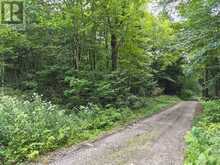PT 3 SHADOWS END LANE | Magnetawan Ontario | Slide Image Eight