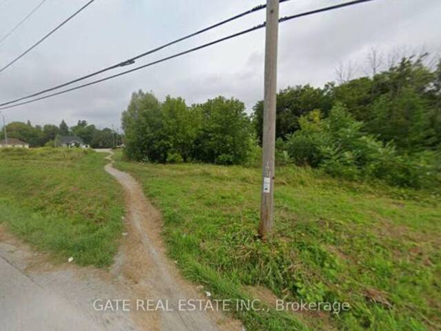 263 THE QUEENSWAY SOUTH S Georgina Ontario, L4P 3C8 - Vacant Land For Sale