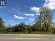 LOT 55, 56 &57 COUNTY RD 25 | Trent Hills Ontario | Slide Image Three