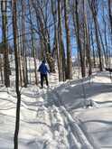608450 12TH SIDE ROAD | The Blue Mountains Ontario | Slide Image Thirty-seven