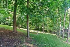 10140 PINEVIEW TRAIL | Milton Ontario | Slide Image Forty-seven