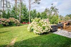 34 ALPINE WAY | Oro-Medonte Ontario | Slide Image Forty-three