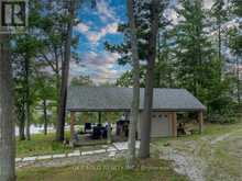 3314 BUCKHORN ROAD | North Kawartha Ontario | Slide Image Forty-three