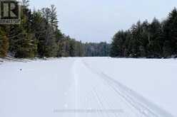 1157 ARTISAN LANE | Haliburton Ontario | Slide Image Forty-seven