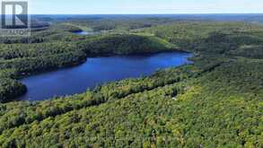 1135 ROSS LAKE ROAD | Haliburton Ontario | Slide Image One
