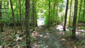 1135 ROSS LAKE ROAD | Haliburton Ontario | Slide Image Twenty