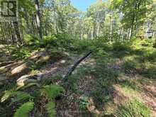 1135 ROSS LAKE ROAD | Haliburton Ontario | Slide Image Thirty-four