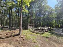 1135 ROSS LAKE ROAD | Haliburton Ontario | Slide Image Thirty-six