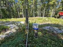 1135 ROSS LAKE ROAD | Haliburton Ontario | Slide Image Five