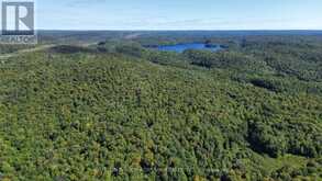 1135 ROSS LAKE ROAD | Haliburton Ontario | Slide Image Nine
