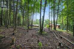 1642 WILLIAMSPORT ROAD | Huntsville Ontario | Slide Image Forty-eight