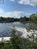 5096 COUNTY RD 503 ROAD | Kawartha Lakes Ontario | Slide Image Forty-six