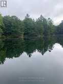 24 SEVERN RIVER | Gravenhurst Ontario | Slide Image Seven