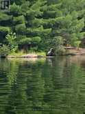 24 SEVERN RIVER | Gravenhurst Ontario | Slide Image Eight