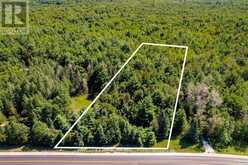 1327 MONCK ROAD | Ramara Ontario | Slide Image One