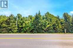 1327 MONCK ROAD | Ramara Ontario | Slide Image Nine