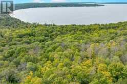 103 SILVER BIRCH DRIVE | Tiny Ontario | Slide Image Twenty-eight