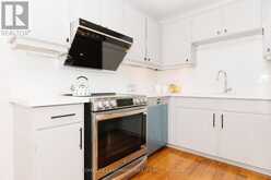 88 CHERYL SHEPWAY | Toronto Ontario | Slide Image Seven