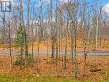 107 - 18 CAMPUS TRAIL | Huntsville Ontario | Slide Image Twenty
