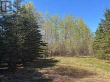 9 SKI HILL ROAD | Kapuskasing Ontario | Slide Image Fifteen