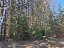 9 SKI HILL ROAD | Kapuskasing Ontario | Slide Image Seventeen