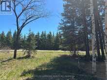 9 SKI HILL ROAD | Kapuskasing Ontario | Slide Image Eighteen