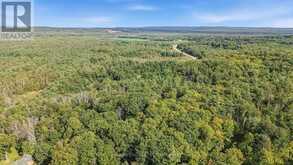 4896 PENETANGUISHENE ROAD | Springwater Ontario | Slide Image Six