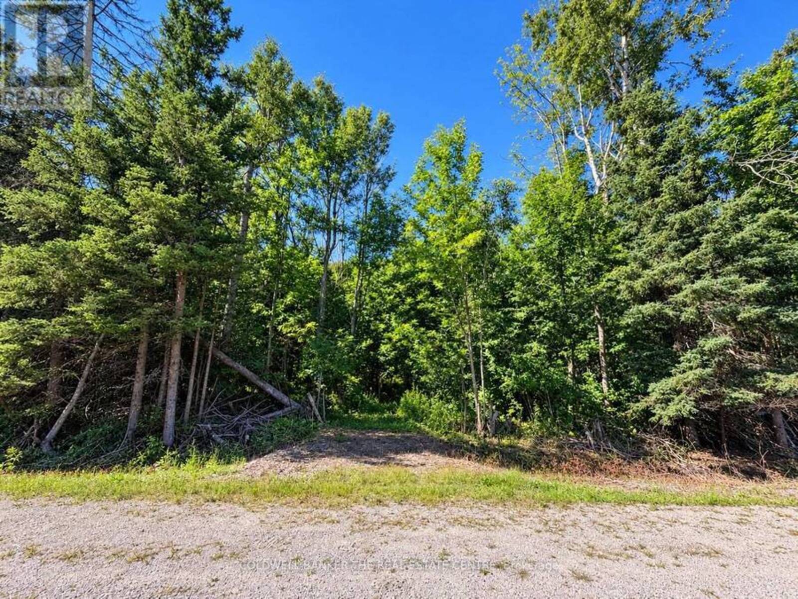 4896 PENETANGUISHENE ROAD, Springwater, Ontario L0L 1V0