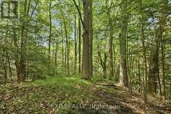 1785 DAVIS DRIVE W | Newmarket Ontario | Slide Image Thirty-five