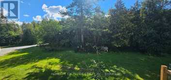 22823 WEIRS SIDE ROAD | Georgina Ontario | Slide Image Twenty-five