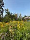 24 WINDFIELD DRIVE W | Oro-Medonte Ontario | Slide Image Fifty